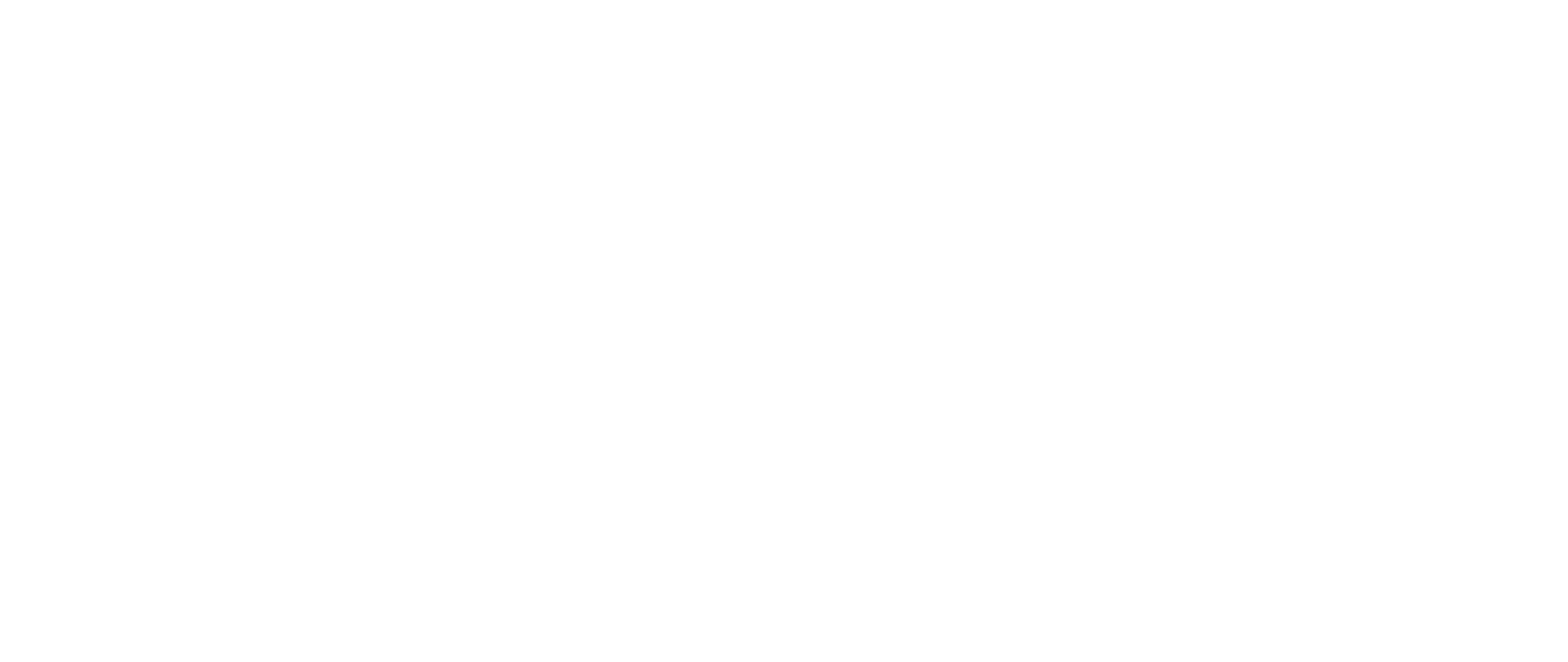 Bri-stor Systems